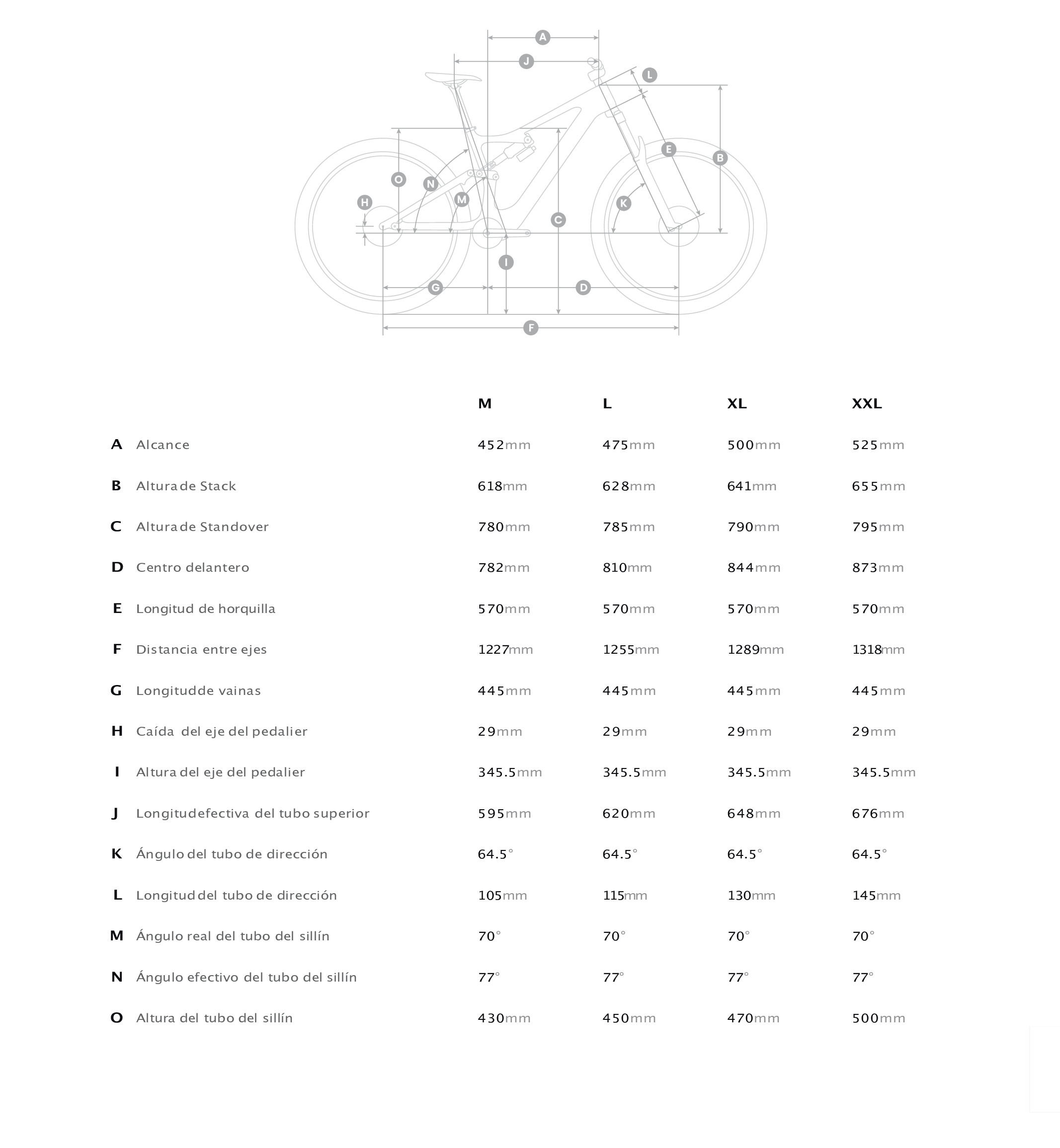 GEO AMFLOW-