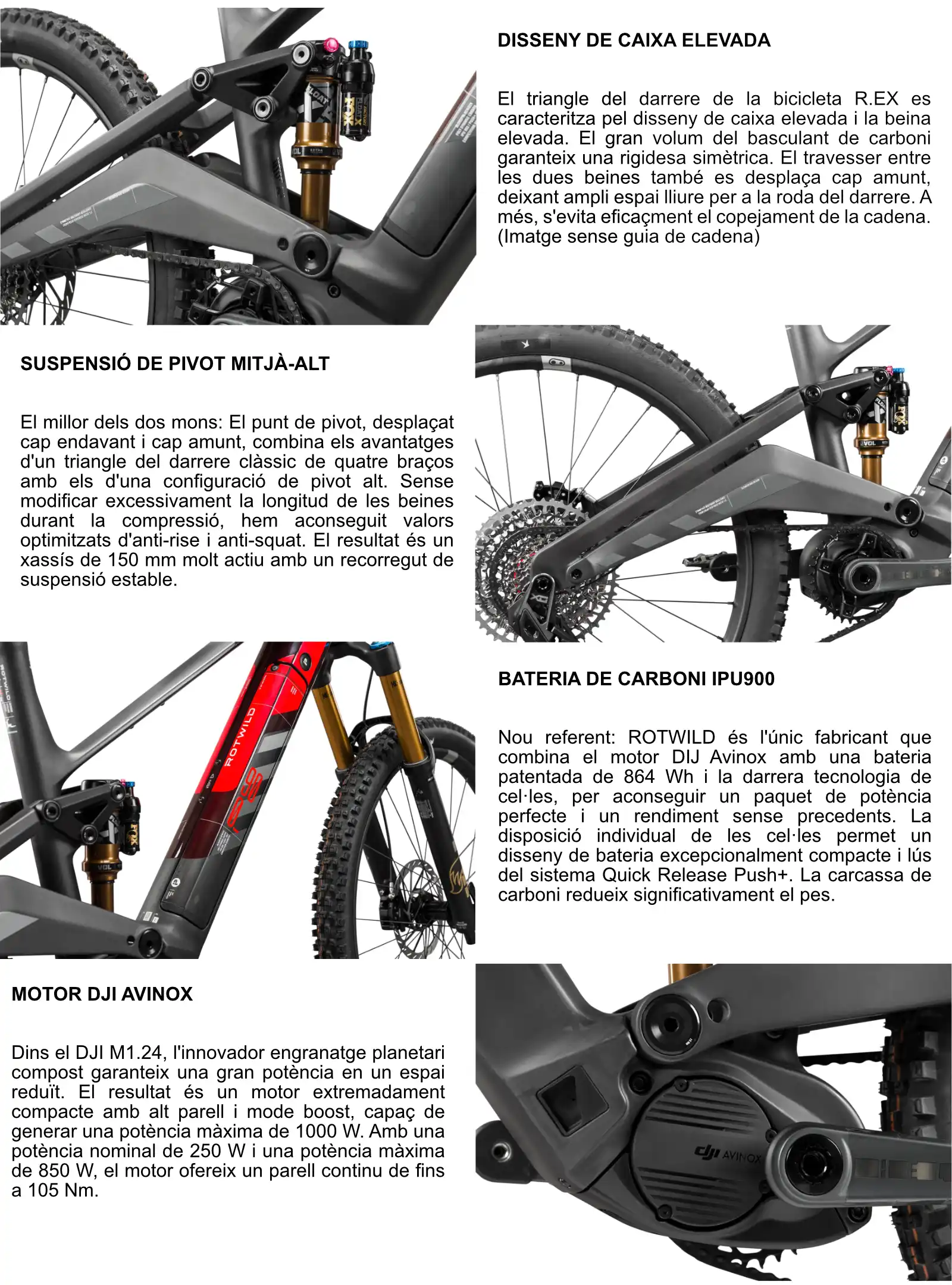 Detalles Rotwild R.ex 900